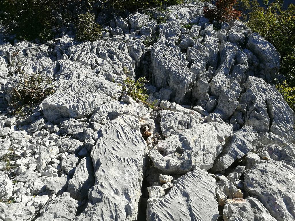 Interessante Strukturen waren im Fels sichtbar